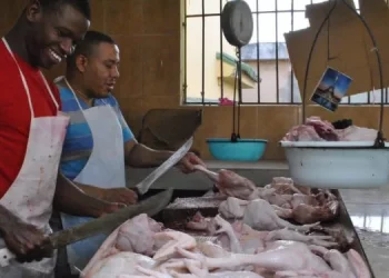 Autoridades agropecuarias garantizan abundancia de pollo en Navidad y Año Nuevo