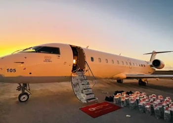 Avión en el que se ocupó coca viajó 14 veces al país entre enero y abril