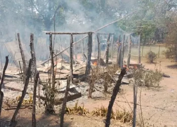 Hombre intenta matar a su abuela tras ella no comprarle cigarrillos