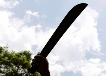 Carnicero haitiano mata a machetazos a su expareja en batey de SPM