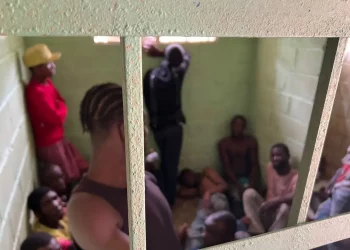 Van 85 presos por depredar Los Haitises