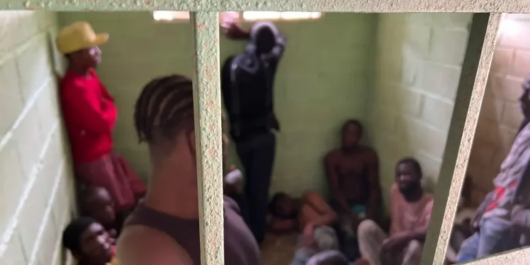 Van 85 presos por depredar Los Haitises