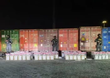 DNCD frustra envío de cocaína a Róterdam