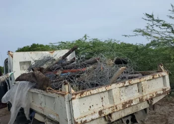 Medio Ambiente inicia derribo de alambradas ilegales dentro de las Dunas de Baní