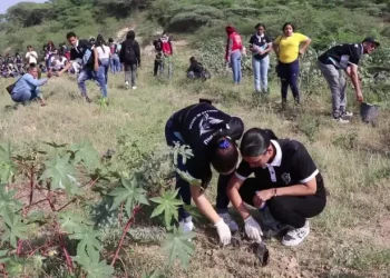 Ylsis Cruz aspirante a diputada auspicia programa de reforestación