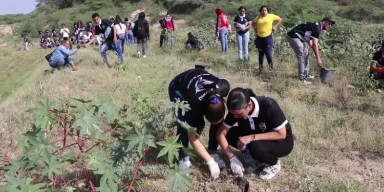 Ylsis Cruz aspirante a diputada auspicia programa de reforestación