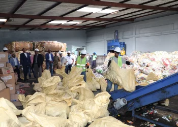 Pro Consumidor incinera más de 1 millón de productos no aptos para consumo