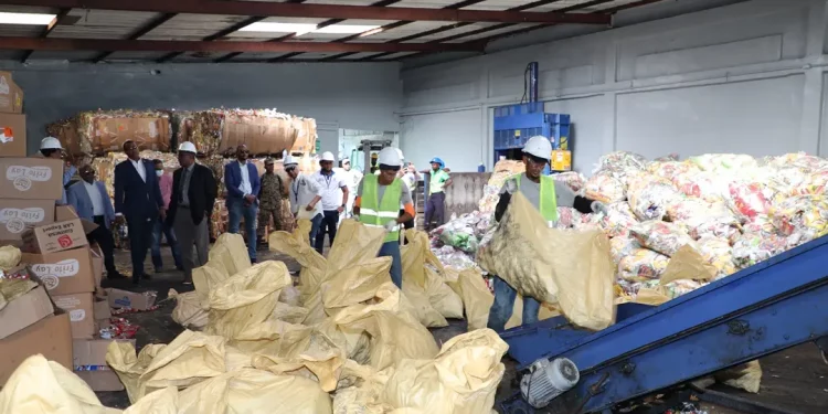 Pro Consumidor incinera más de 1 millón de productos no aptos para consumo