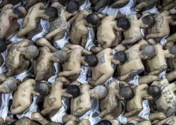 Nayib Bukele propone reducir número de alcaldes y diputados