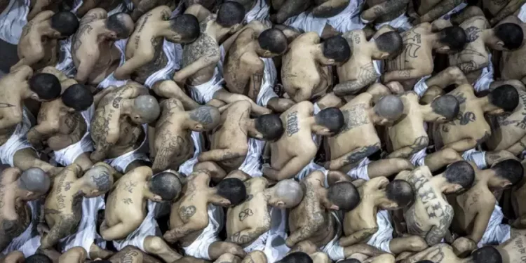 Nayib Bukele propone reducir número de alcaldes y diputados