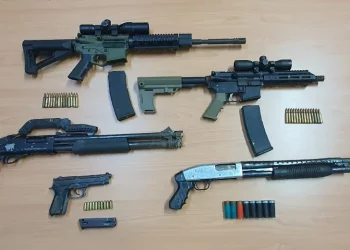 La DNCD ocupa drogas y armas en el sur