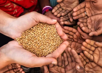 ONU: El hambre se estabiliza en el mundo, pero sigue muy por encima de niveles prepandemia