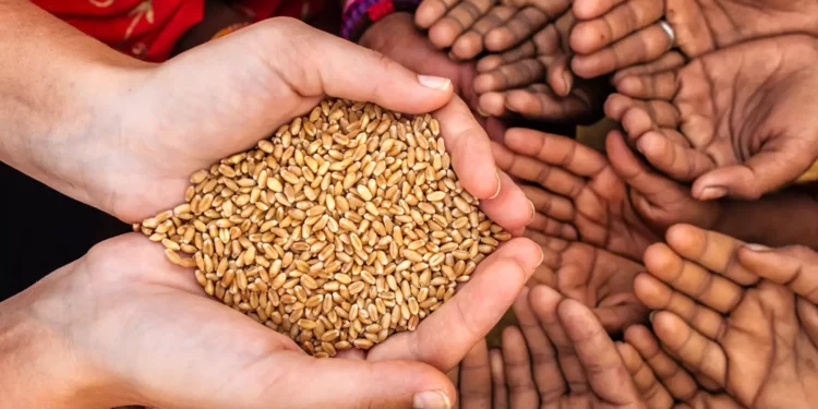 ONU: El hambre se estabiliza en el mundo, pero sigue muy por encima de niveles prepandemia