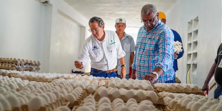 Inespre inicia compra de pollos y huevos a productores de Dajabón afectados por el cierre de la frontera