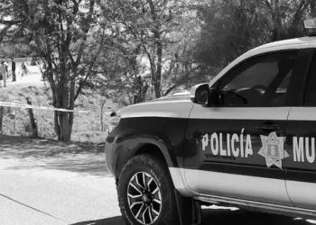 Grupo armado asesina a balazos a regidor oficialista electo en Michoacán, oeste de México