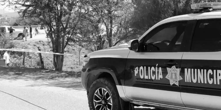Grupo armado asesina a balazos a regidor oficialista electo en Michoacán, oeste de México