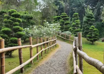 Entradas al Jardín Botánico Nacional serán gratis por Día Mundial del Medioambiente