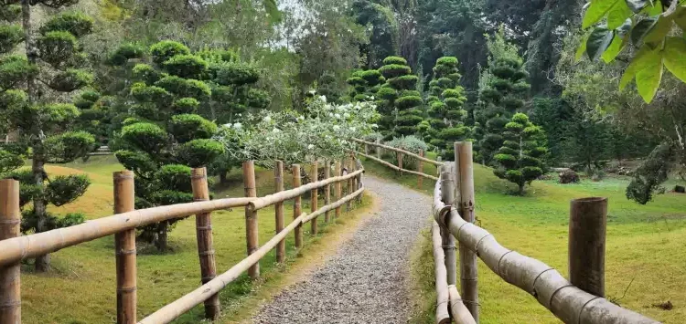 Entradas al Jardín Botánico Nacional serán gratis por Día Mundial del Medioambiente