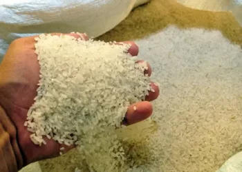 Gobierno defenderá a productores de arroz ante entrada en vigor del arancel cero