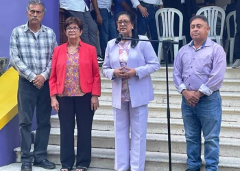 PLD da por cerrado el proceso electoral interno para escoger los nuevos miembros del Comité Central