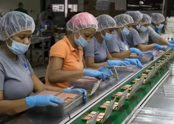 El mercado laboral dominicano supera los 5 millones de trabajadores, un máximo histórico