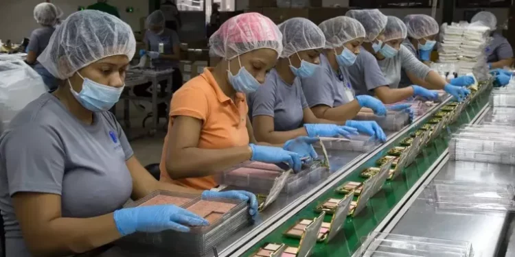 El mercado laboral dominicano supera los 5 millones de trabajadores, un máximo histórico