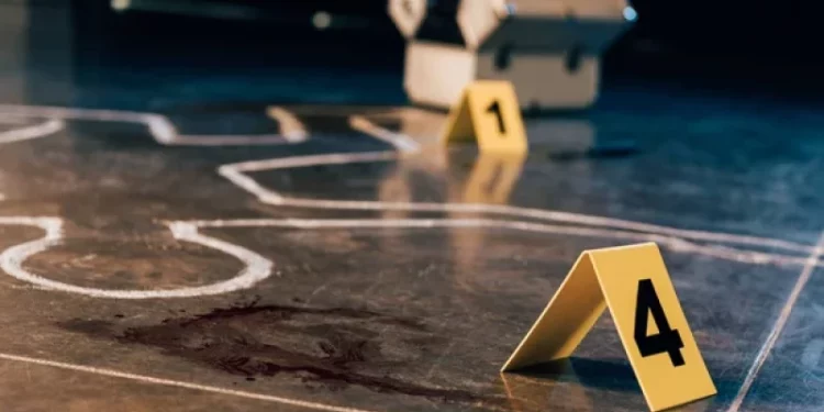 En los primeros 17 días del año se registraron 56 homicidios y 3,547 robos, según informe