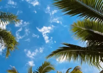 Indomet informa que para este jueves permearán condiciones de pocas lluvias