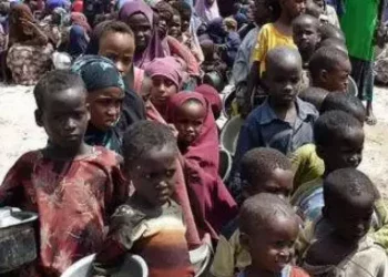 Más de la mitad de la población haitiana, privada de alimentos