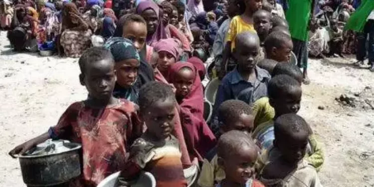 Más de la mitad de la población haitiana, privada de alimentos