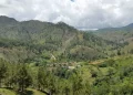 GoldQuest Dominicana anuncia el retiro de sus equipos para garantizar la paz social