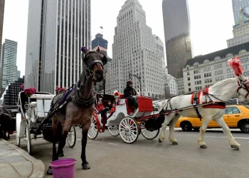 Nueva York busca prohibir los carruajes tirados por caballos a partir de 2028