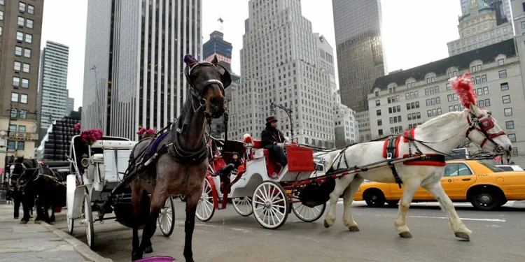 Nueva York busca prohibir los carruajes tirados por caballos a partir de 2028