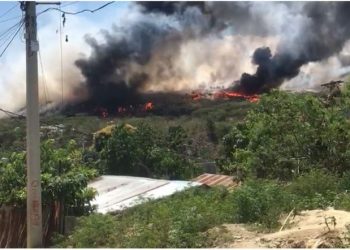 Fuego afecta ecoparque de Rafey     