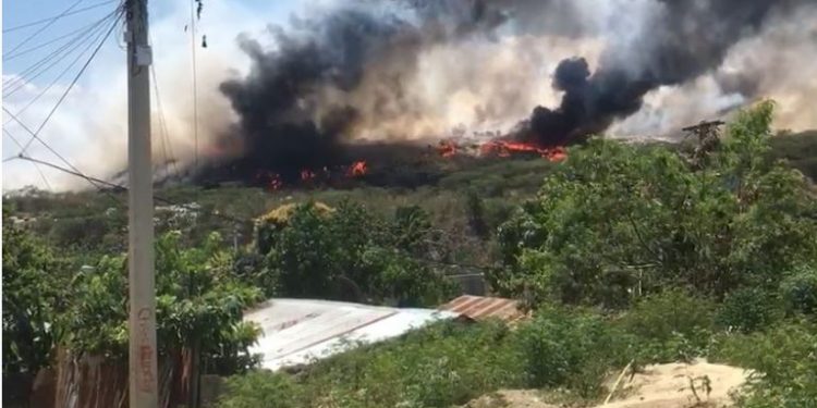 Fuego afecta ecoparque de Rafey     