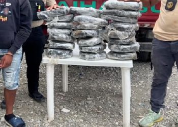 Ocupan 123 libras marihuana a 2 jóvenes durante chequeo en Azua