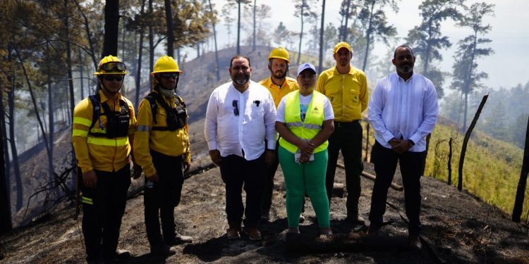 Genao califica de “terrorismo ambiental” incendios de bosques