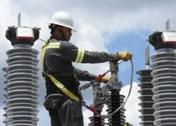 Edenorte dará mantenimiento a redes y podará árboles en comunidades de Santiago