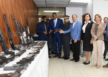 Gobierno ha retirado de las calles 11,291 armas de fuego ilegales
