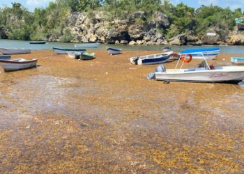 Canciller dominicano pide a países caribeños declarar el sargazo "emergencia regional"