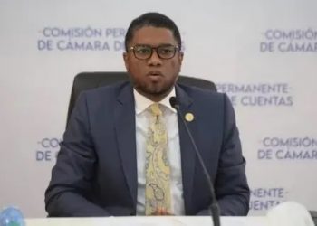 Presidente de Cámara de Cuentas retendría doce auditorías