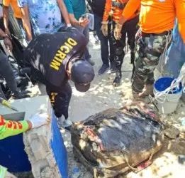 Encuentran enterrado dentro de maleta cuerpo de empresario en la Vega, acusan amigo del asesinato