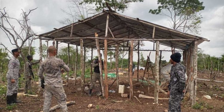Detienen 189 ocasionaron daños en Parque Nacional Los Haitises