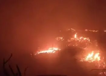 Controlan incendio en depósito de basura próximo a la Base Aérea de San Isidro