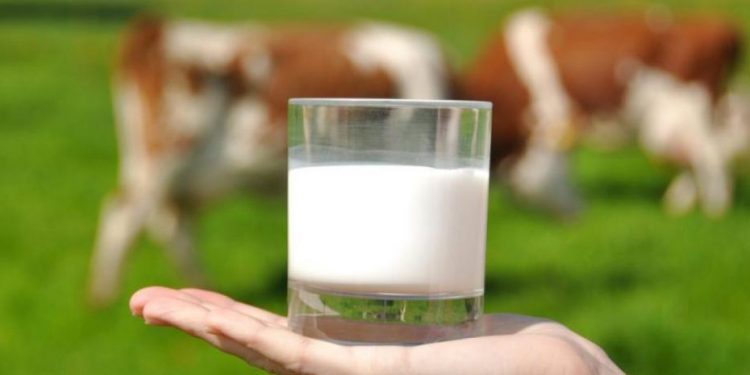 Celebra el Día Mundial de la Leche descubriendo sus usos curiosos