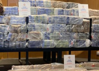 Ocupan 338 paquetes cocaína en Barahona y 270 láminas en SDE
