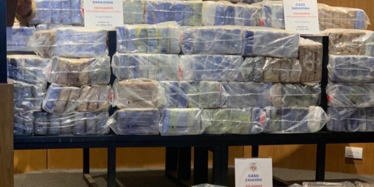 Ocupan 338 paquetes cocaína en Barahona y 270 láminas en SDE