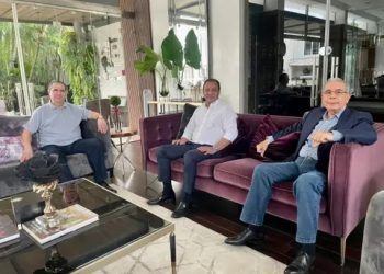 PLD se reserva el 20% de candidaturas en todos los niveles de elección