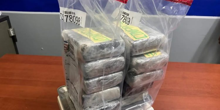 DNCD apresa cinco y ocupa 10 paquetes de cocaina en Santiago
