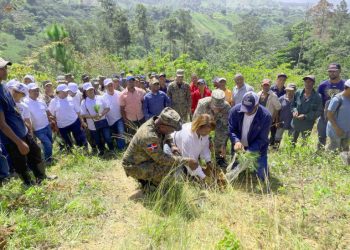 Plan Nacional de Reforestación impacta en todo el país, dice Medio Ambiente